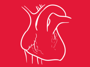 Cardiorespiratory
